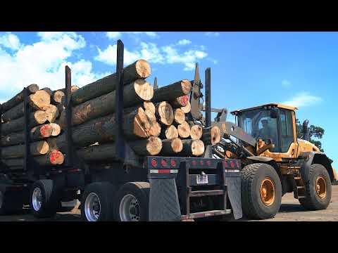 The US Sawmill: How Hardwood Lumber is Made&#10;&#10;This educational video provided by Banks Hardwoods, Inc. describes the various operations involved in processing hardwood lumber by sawmills.